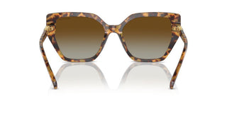 Swarovski Sk6016 Women Havana Butterfly Sunglasses