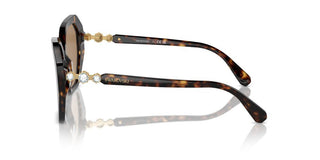 Swarovski Sk6017 Women Havana Geometric Sunglasses