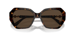 Swarovski Sk6017 Women Havana Geometric Sunglasses