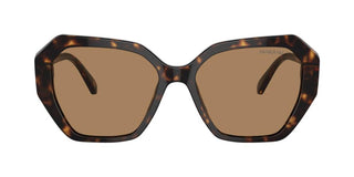 Swarovski Sk6017 Women Havana Geometric Sunglasses