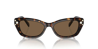 Swarovski Sk6019 Women Havana Cat Eye Sunglasses