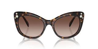 Swarovski Sk6020 Women Havana Cat Eye Sunglasses