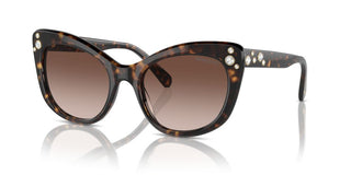 Swarovski Sk6020 Women Havana Cat Eye Sunglasses