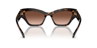 Swarovski Sk6021 Women Havana Cat Eye Sunglasses