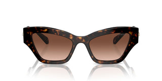 Swarovski Sk6021 Women Havana Cat Eye Sunglasses
