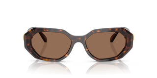 Swarovski SK6028 women Havana Squared Sunglasses