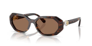 Swarovski SK6028 women Havana Squared Sunglasses