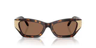 Swarovski SK6029 women Havana Squared Sunglasses