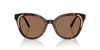 Swarovski SK6031 women Havana Butterfly Sunglasses