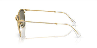 Swarovski SK7006 women Yellow Squared Sunglasses