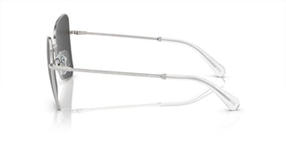 Swarovski SK7008 women Silver Butterfly Sunglasses