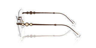 Swarovski Sk 1014 Women Brown Butterfly Eyeglasses