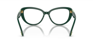 Swarovski SK 2014 women Green Cat Eye Eyeglasses