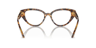Swarovski Sk 2024 Women Havana Cat Eye Eyeglasses
