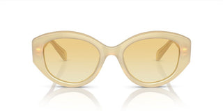 Swarovski SK 6005 women Yellow Visor Sunglasses