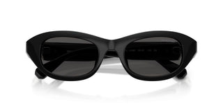 Swarovski SK 6036U women 0 Cat Eye Sunglasses
