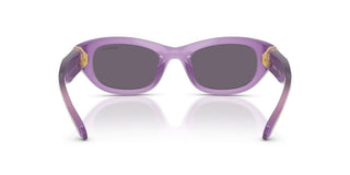 Swarovski SK 6036U women Violet Cat Eye Sunglasses