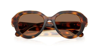 Swarovski SK 6037 women Havana Sunglasses
