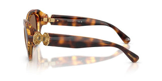Swarovski SK 6037 women Havana Sunglasses