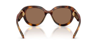 Swarovski SK 6037 women Havana Sunglasses