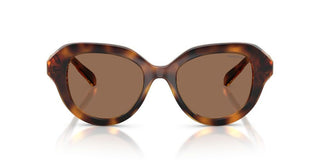 Swarovski SK 6037 women Havana Sunglasses
