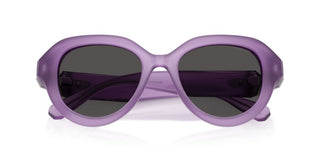 Swarovski SK 6037 women Violet Sunglasses