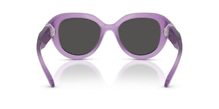 Swarovski SK 6037 women Violet Sunglasses