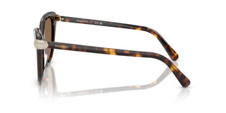 Swarovski SK 6039 women Havana Cat Eye Sunglasses