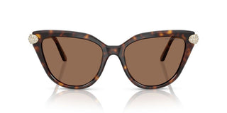Swarovski SK 6039 women Havana Cat Eye Sunglasses