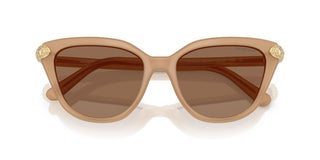 Swarovski SK 6039 women Brown Cat Eye Sunglasses