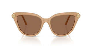 Swarovski SK 6039 women Brown Cat Eye Sunglasses