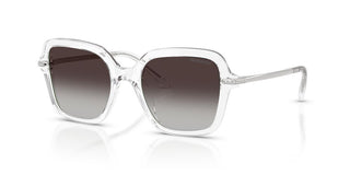 Swarovski Sk 6040 Women Transparent  Sunglasses