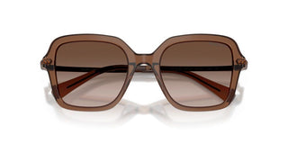 Swarovski SK 6040 women Brown Sunglasses