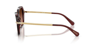 Swarovski SK 6040 women Red Sunglasses