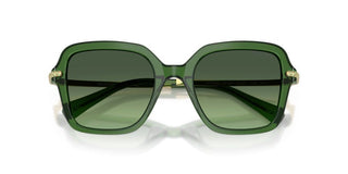 Swarovski Sk 6040 Women Green  Sunglasses