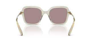 Swarovski SK 6040 women Brown Sunglasses