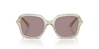 Swarovski SK 6040 women Brown Sunglasses