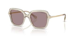 Swarovski SK 6040 women Brown Sunglasses