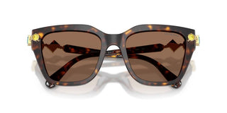 Swarovski SK 6041 women Havana Sunglasses