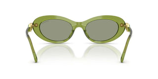 Swarovski SK 6042 women Green Cat Eye Sunglasses