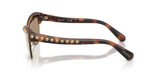 Swarovski SK 6043 women Havana Butterfly Sunglasses