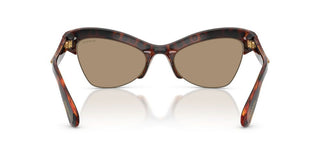 Swarovski SK 6043 women Havana Butterfly Sunglasses
