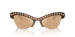 Swarovski SK 6043 women Havana Butterfly Sunglasses