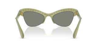 Swarovski SK 6043 women Green Butterfly Sunglasses