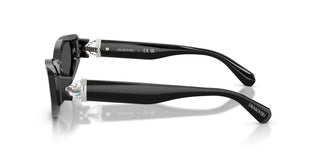 Swarovski SK 6045U women Black Cat Eye Sunglasses