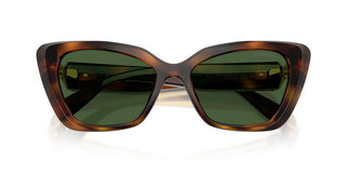 Swarovski SK 6047 women Havana Cat Eye Sunglasses