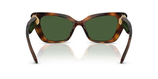 Swarovski SK 6047 women Havana Cat Eye Sunglasses