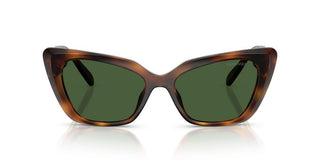 Swarovski SK 6047 women Havana Cat Eye Sunglasses