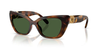 Swarovski SK 6047 women Havana Cat Eye Sunglasses