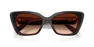 Swarovski SK 6047 women Brown Cat Eye Sunglasses